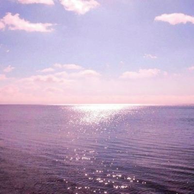 hth华体育(中国)官方入口截图